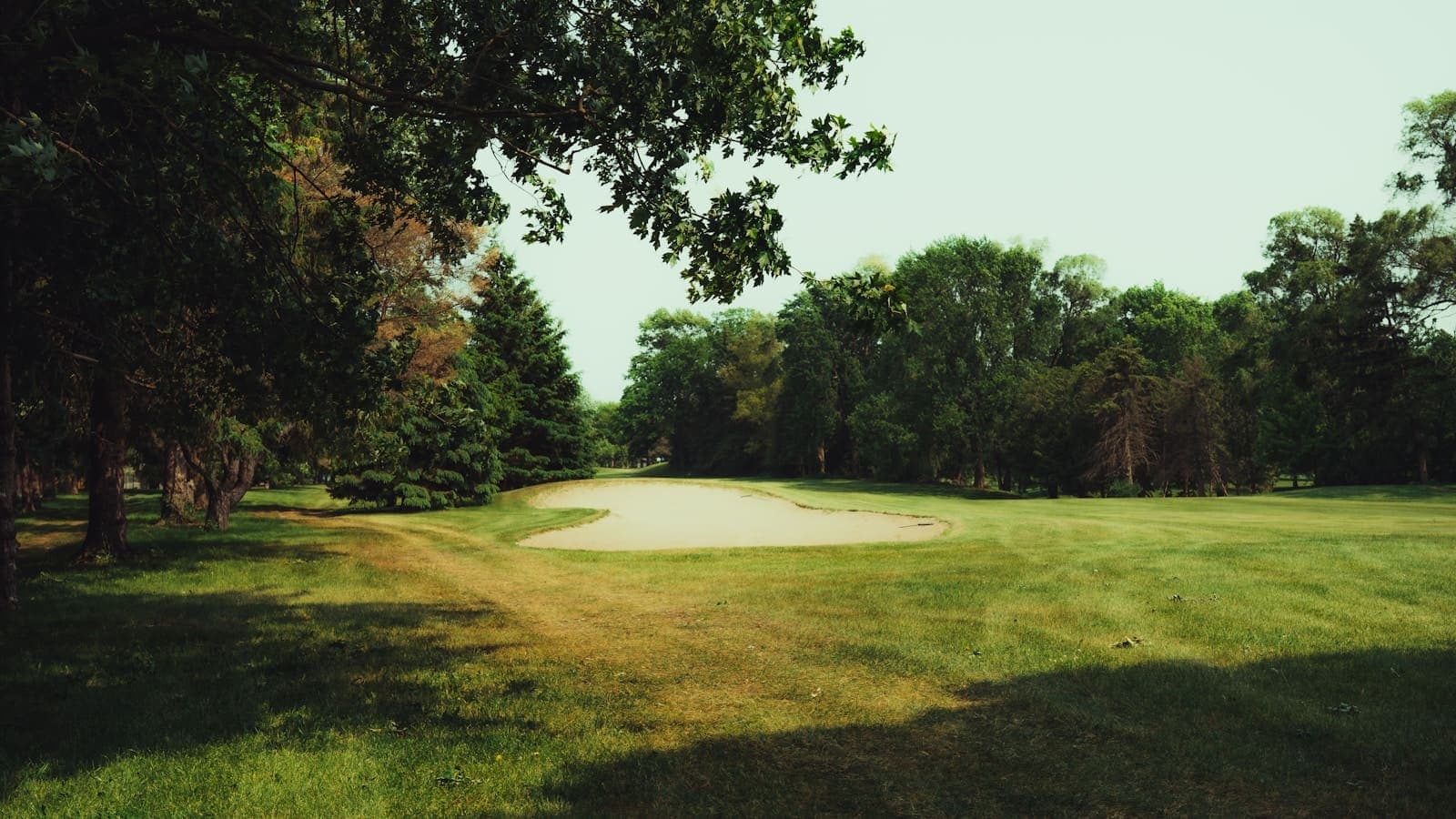Golf course fairway and green