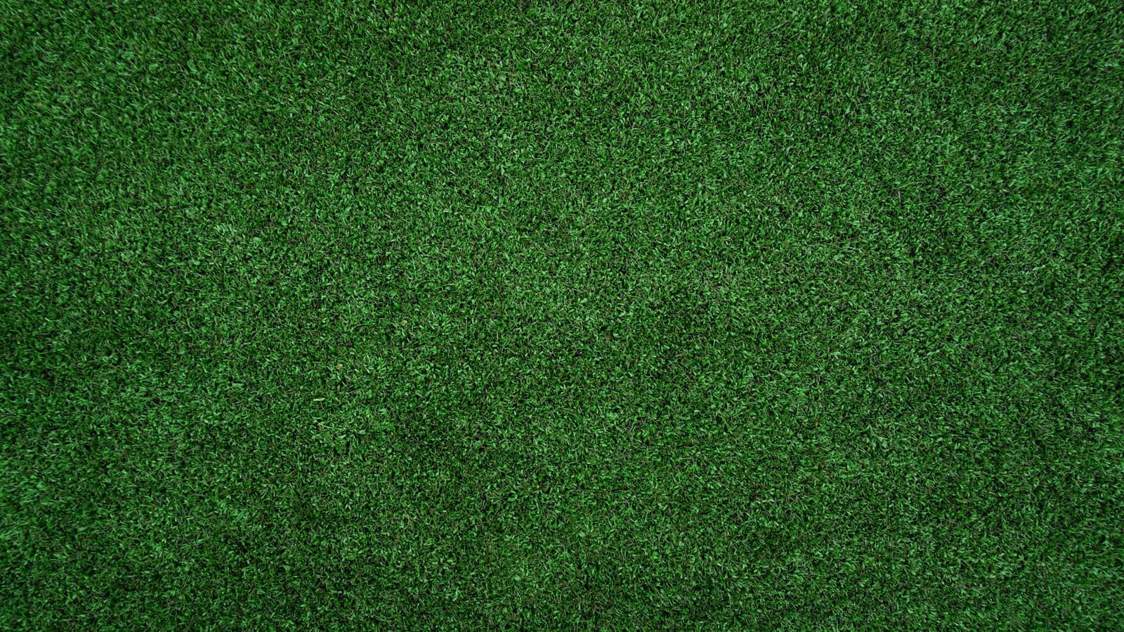 Lush green lawn
